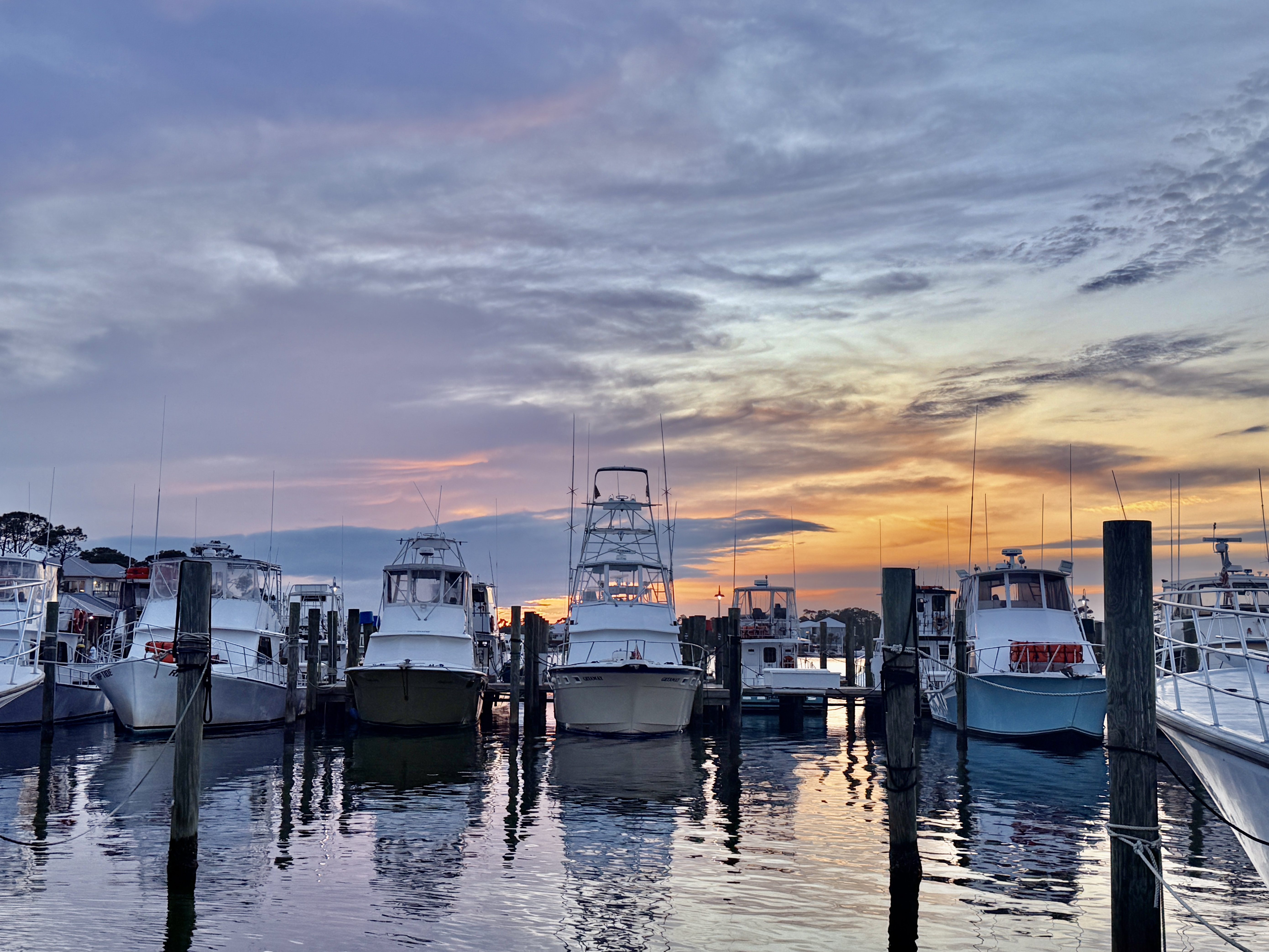 Marinas and Boats Orange Beach Alabama